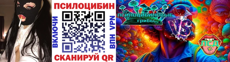 Купить где  Кудрово  Галлюциногенные грибы мицелий 