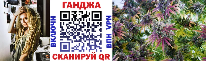 Купить Кудрово Бошки Шишки тримм